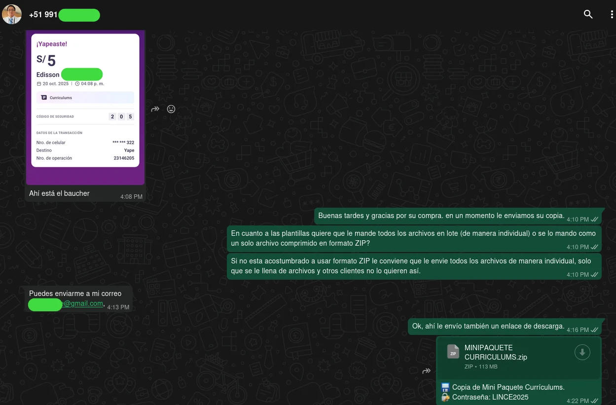 Pago y Entrega Mini Paquete de Curriculums